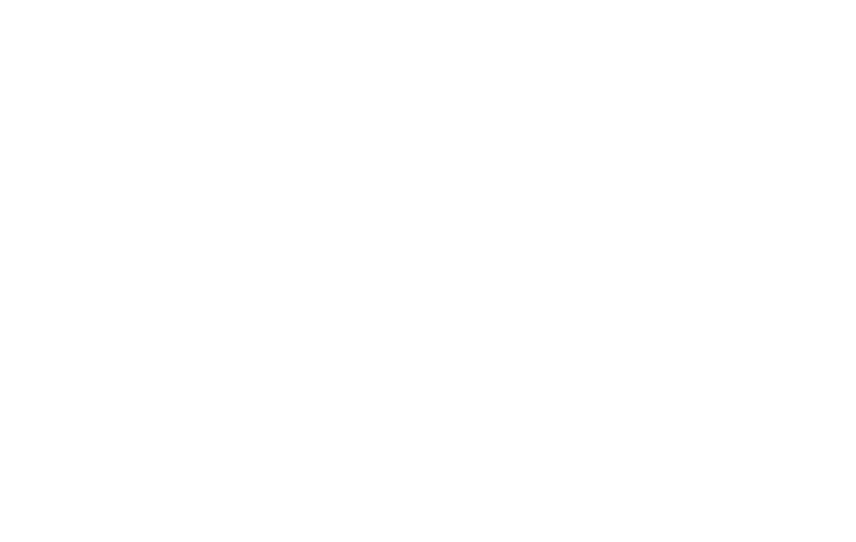 Autentica Pizza Artesana Napolitana